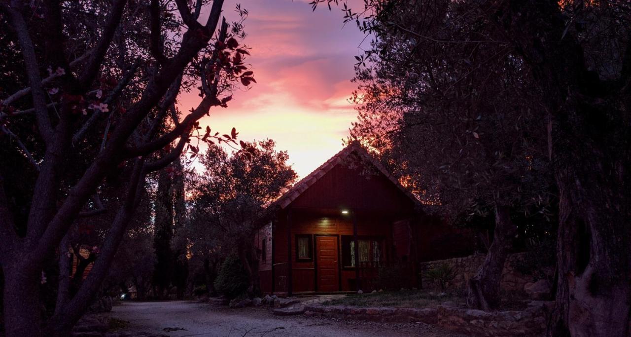 Camping Alquézar Eksteriør billede