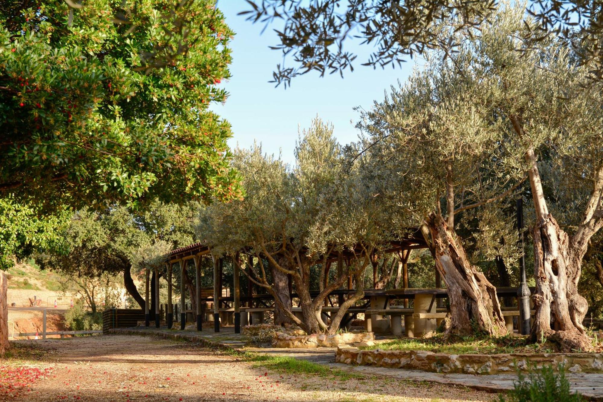 Camping Alquézar Eksteriør billede