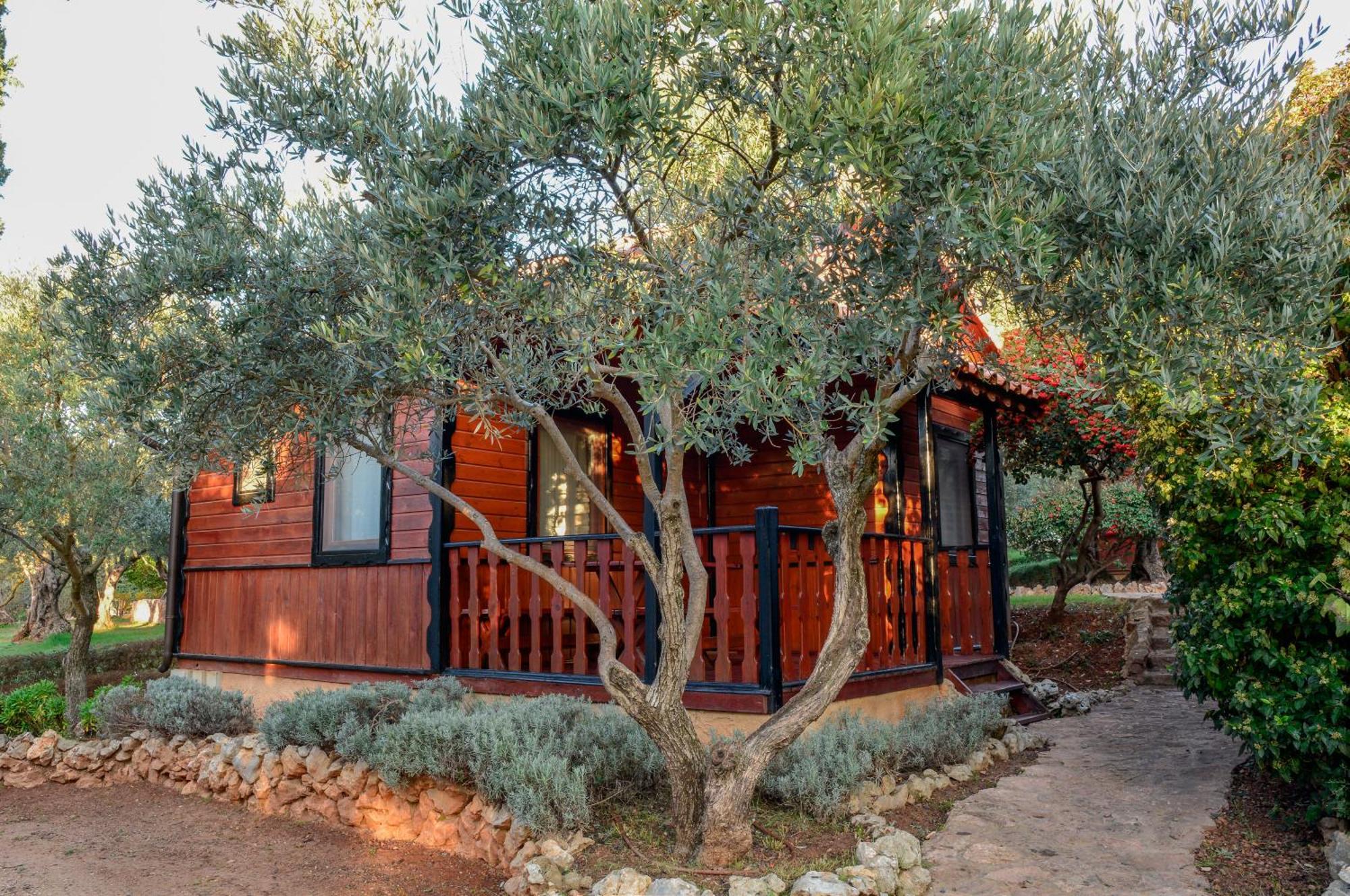 Camping Alquézar Eksteriør billede