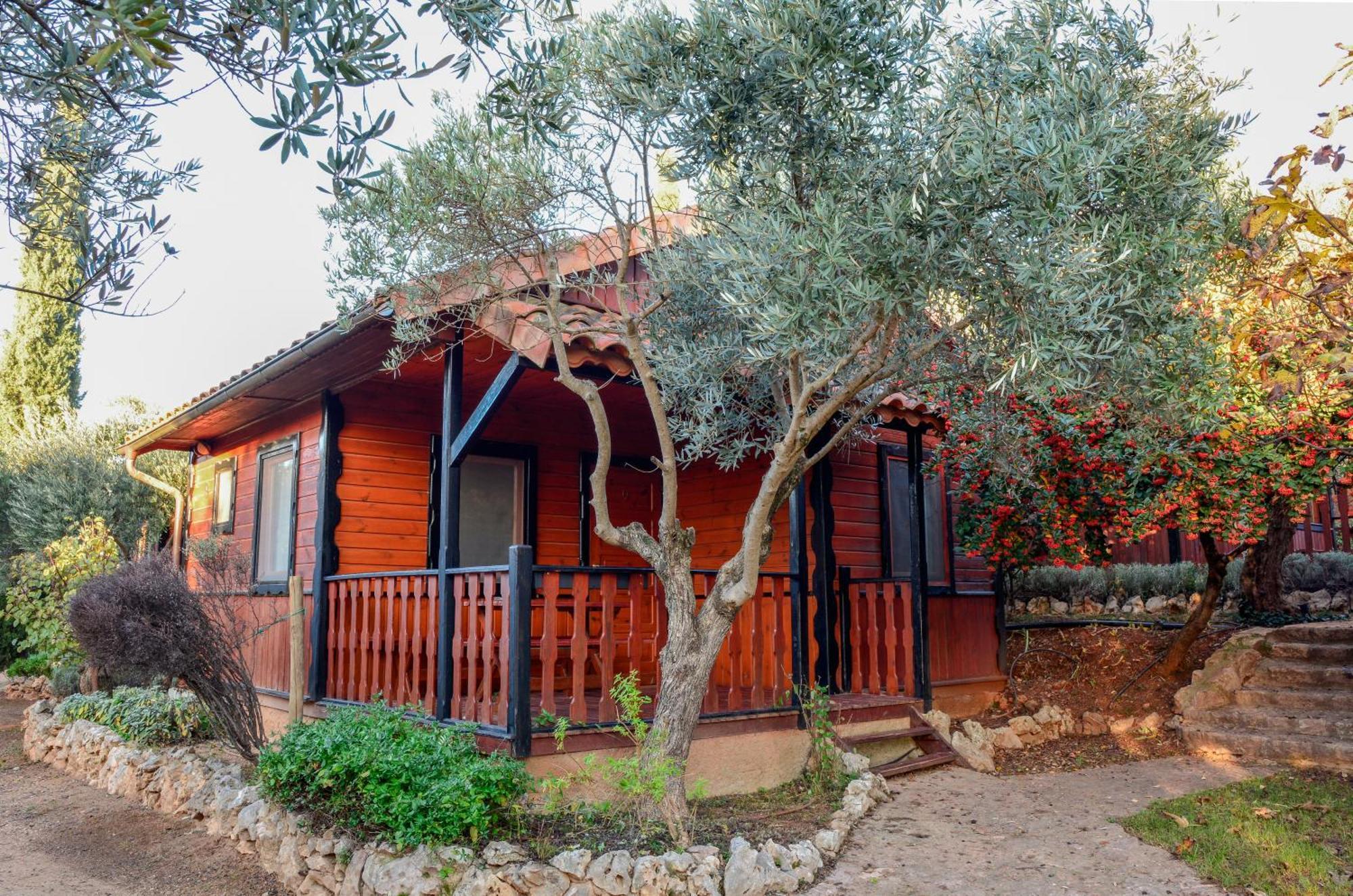 Camping Alquézar Eksteriør billede