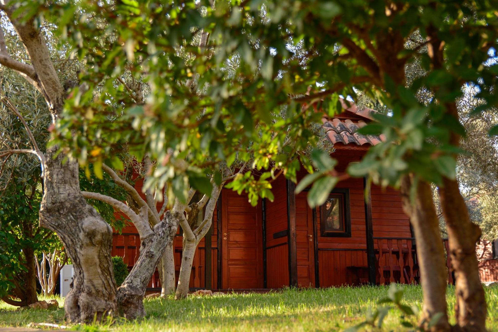 Camping Alquézar Eksteriør billede
