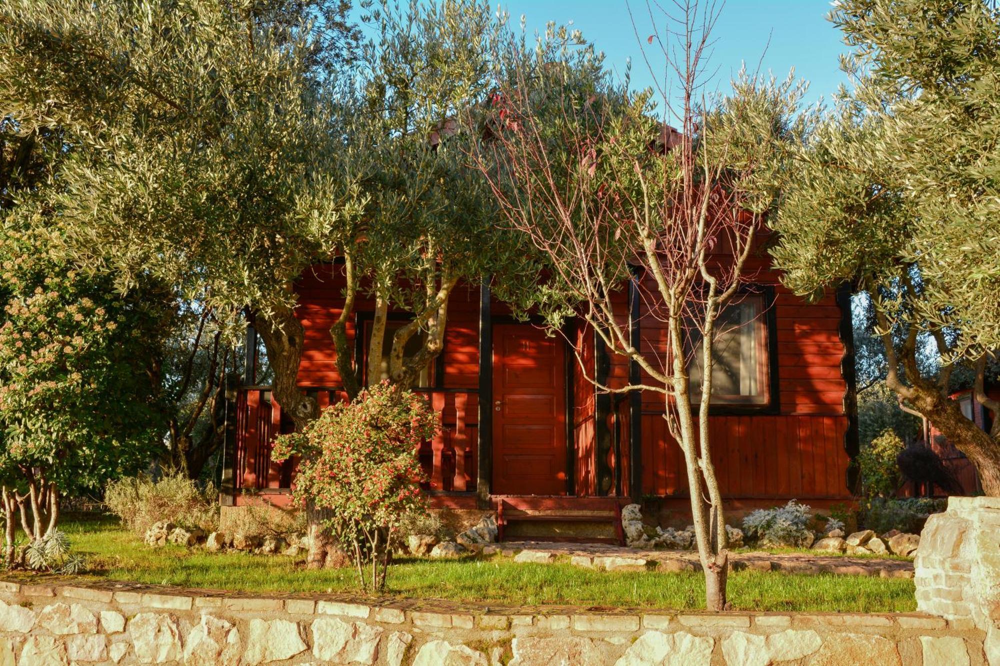Camping Alquézar Eksteriør billede